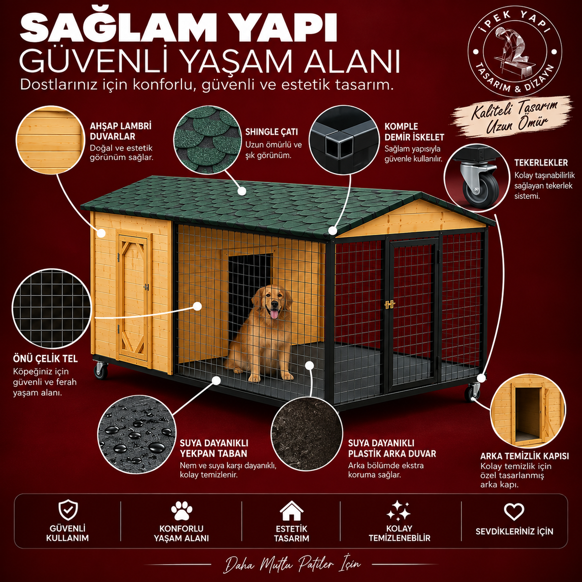 PAŞA (Köpek Kulübesi)